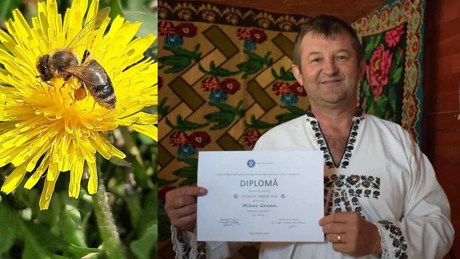 Слева — пчела на одуванчике, справа Михай Грама в традиционной рубашке держит диплом "Tezaur Uman Viu" ("Живое человеческое сокровище"), которым государство отметило хранителей ремёсел