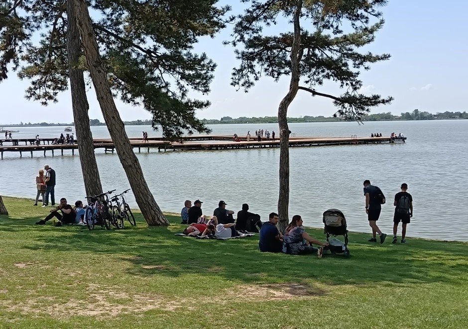 Люди отдыхают на траве под соснами на берегу озера Палич, на воде виден длинный пирс