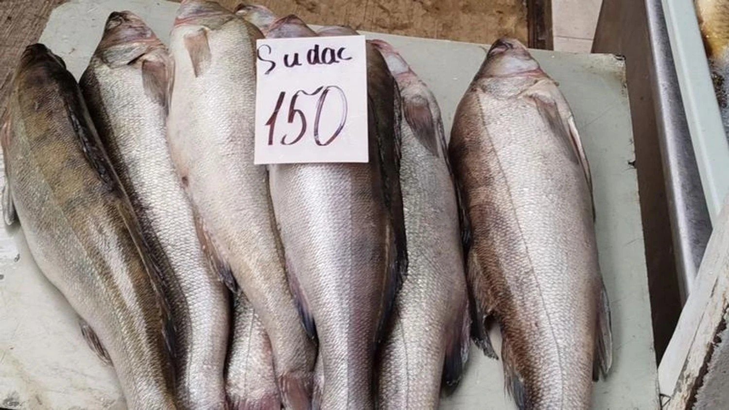 Судак на рыбном рынке с ценником — именно такую рыбу из Днестра власти Молдовы рекомендуют не употреблять в пищу