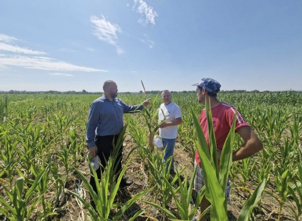 Специалисты осматривают посевы на опытной станции Технического университета Молдовы в Криулянском районе