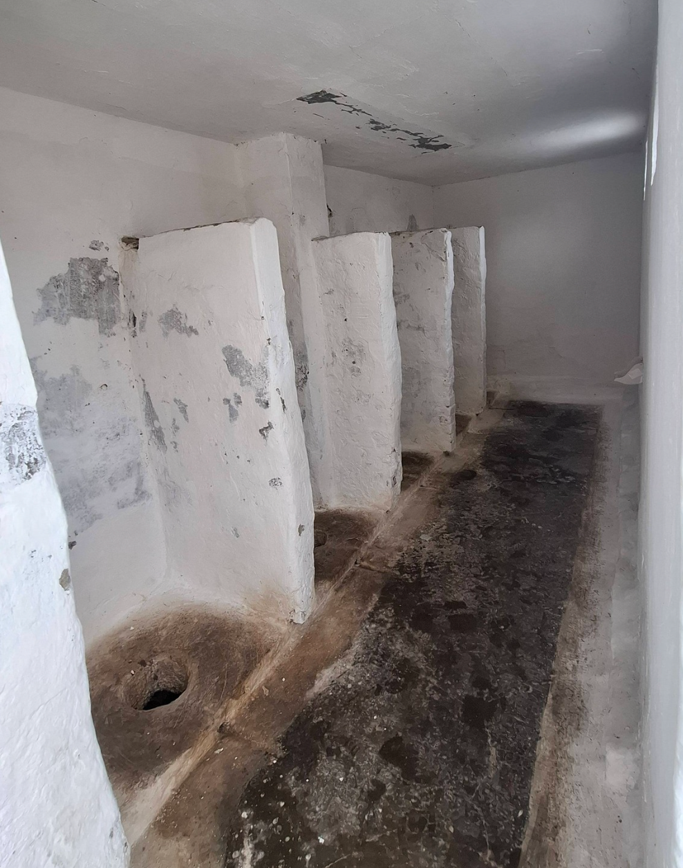 Интерьер санузла гимназии в Чимишене — перегородки без дверей, грязные полы и осыпающаяся штукатурка на стенах