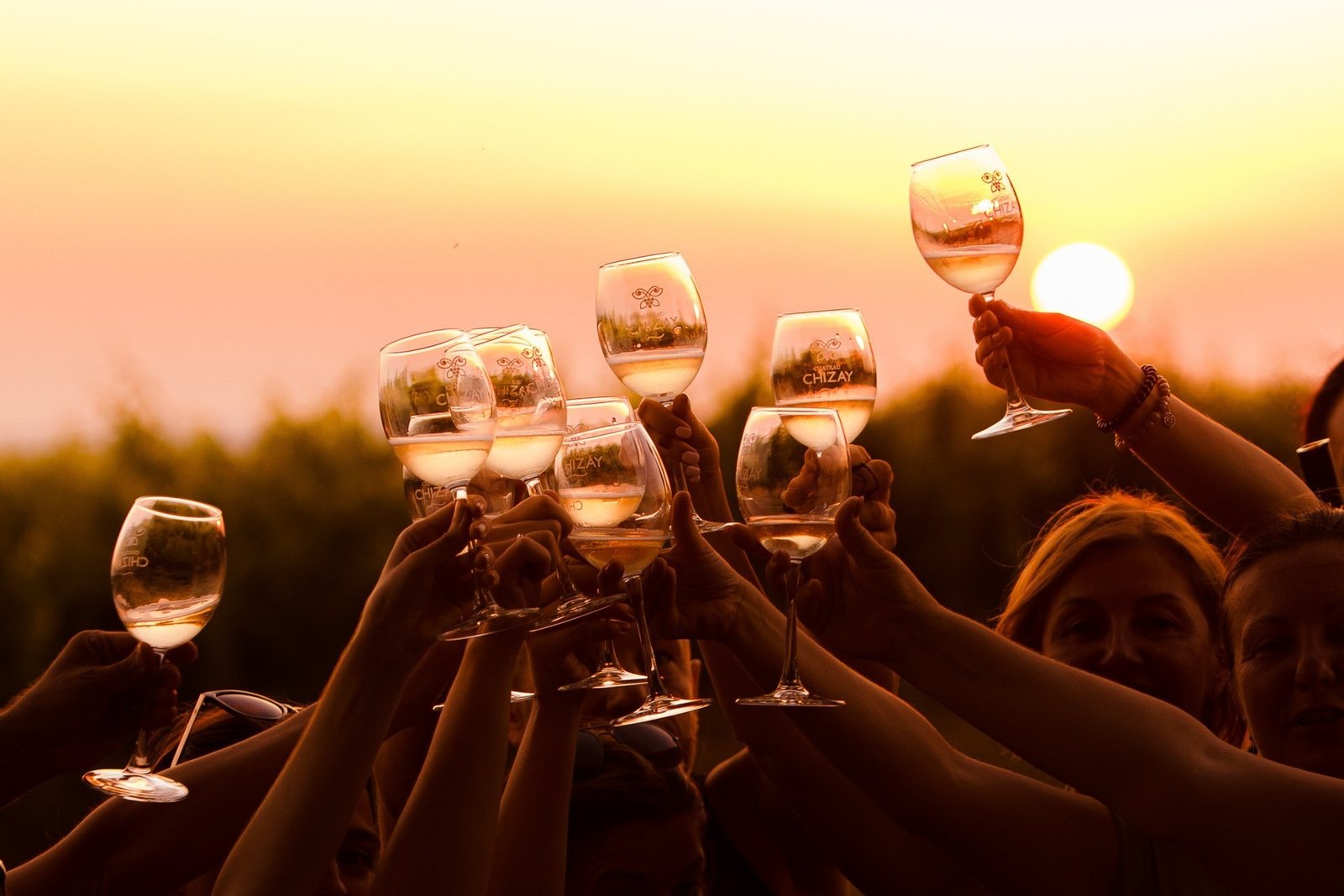 Гости поднимают бокалы с белым вином на фоне заката над виноградниками