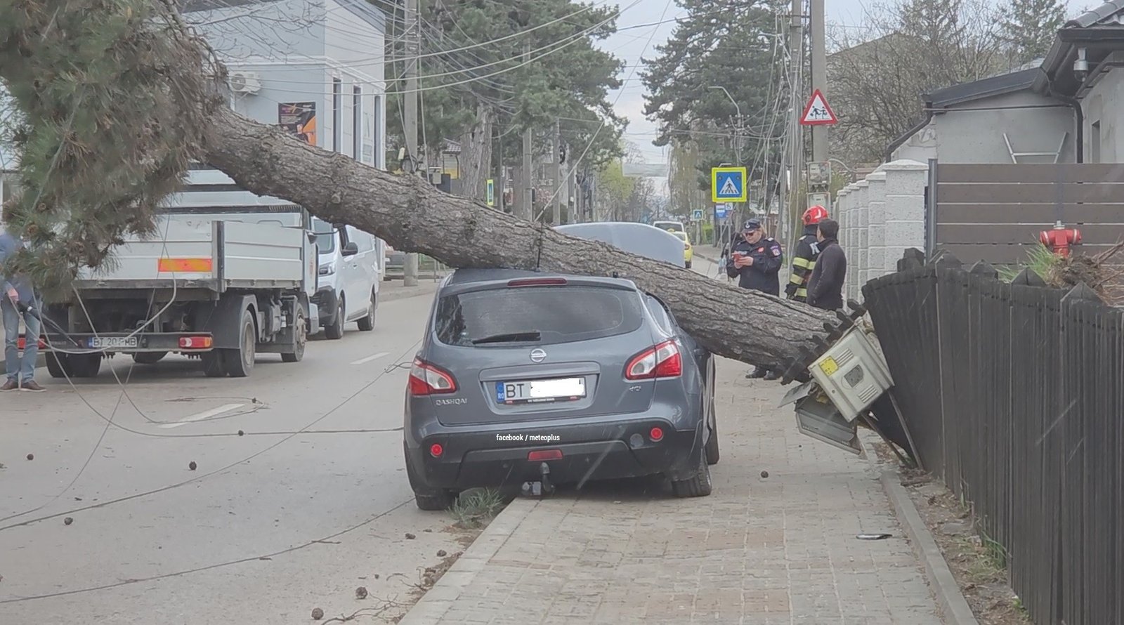 Упавшее от сильного ветра дерево повредило автомобиль на улице в Румынии