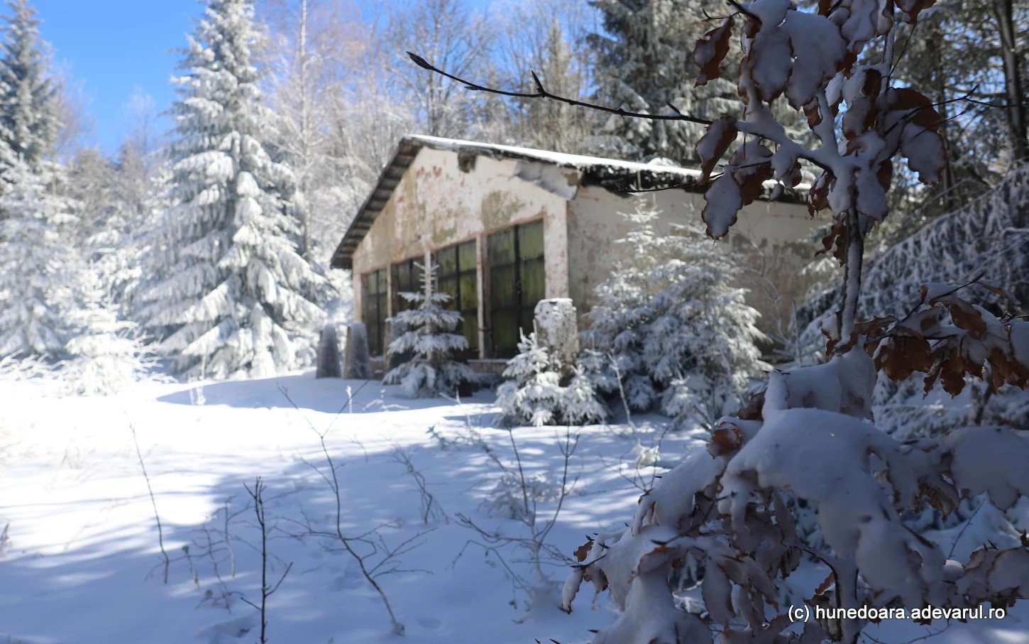 Заснеженное строение в горном лесу вблизи заброшенного села в районе Хунедоара