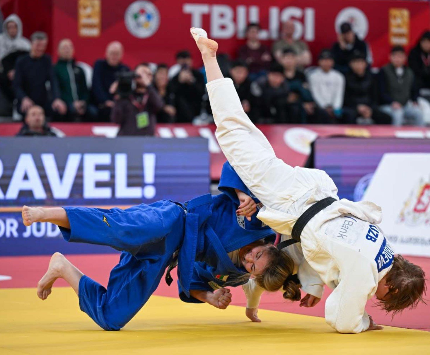 Эффектная схватка под баннером «Tbilisi»: грузинская столица принимает континентальное первенство — в кадре спортсменки ведут партер во время поединка