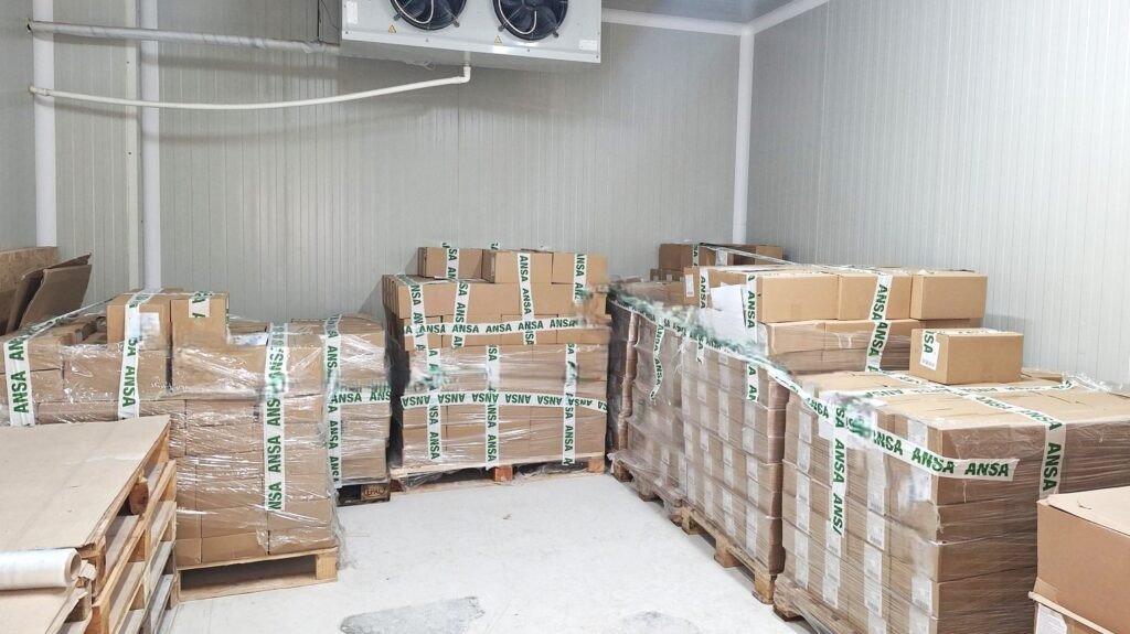 Холодильная камера на границе Молдовы, где ANSA хранит задержанные поддоны с продукцией до возврата поставщику