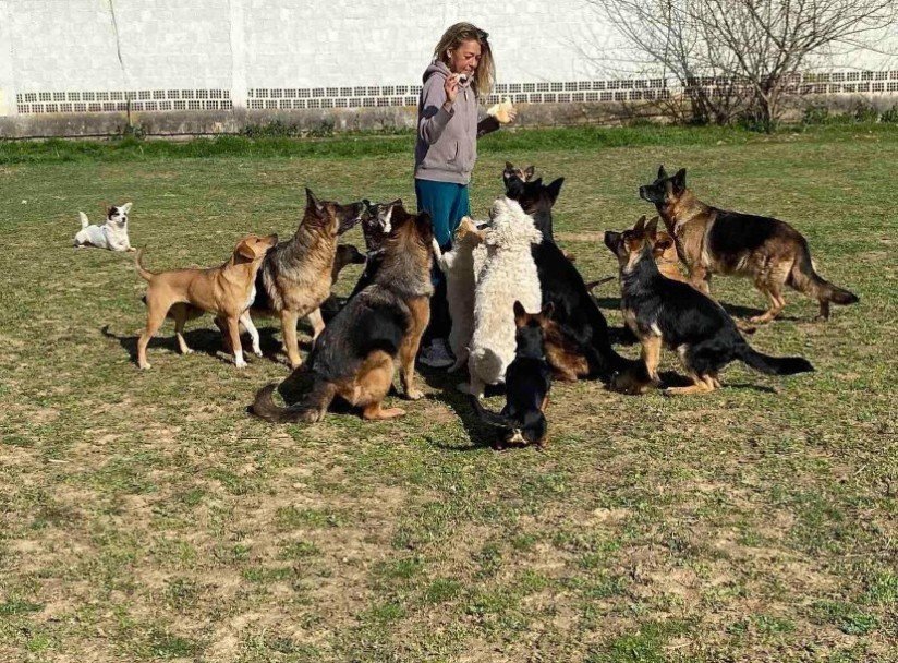 Елена улыбается и держит на руках чёрного щенка рядом с двумя другими собаками