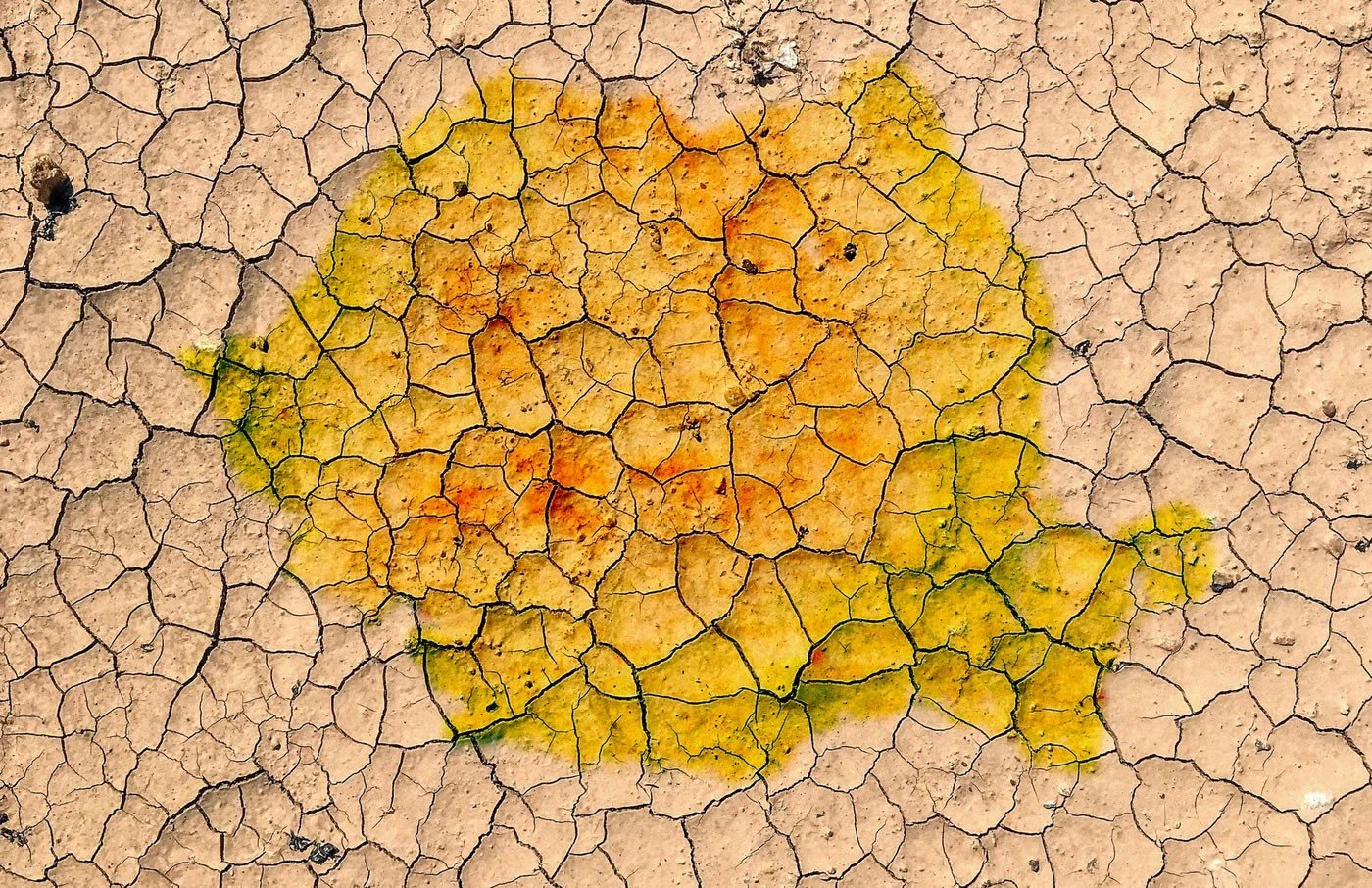Контуры Румынии на фоне иссохшей, растрескавшейся земли — символ водного кризиса в стране