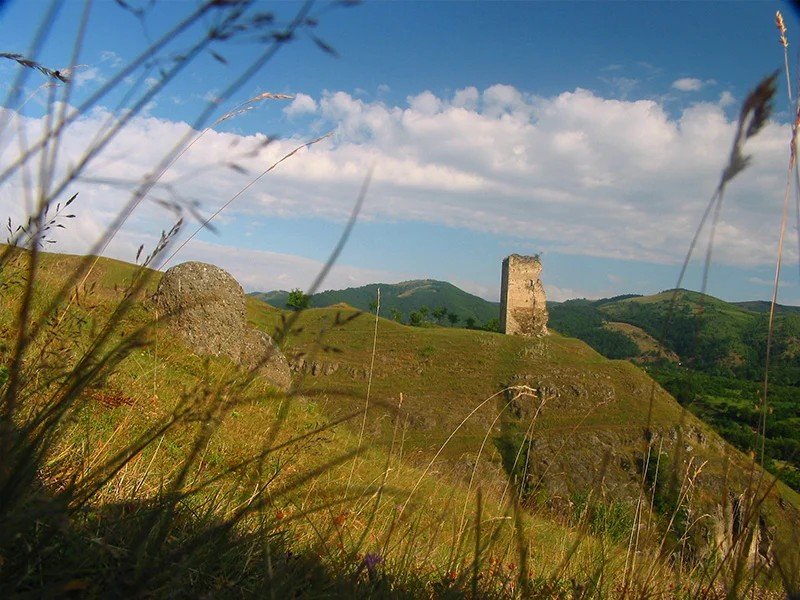 Руины башни крепости Колц на фоне горной панорамы Ретезата — вид сквозь высокую траву
