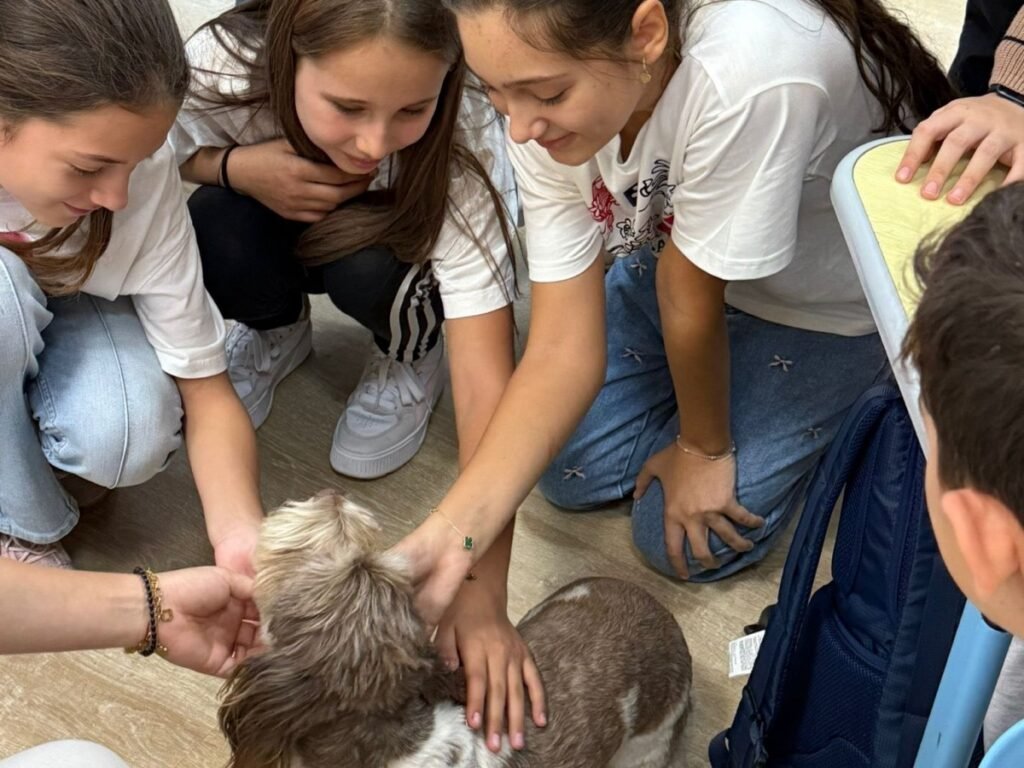 Школьницы с улыбками гладят небольшую собаку в классе во время урока о животных