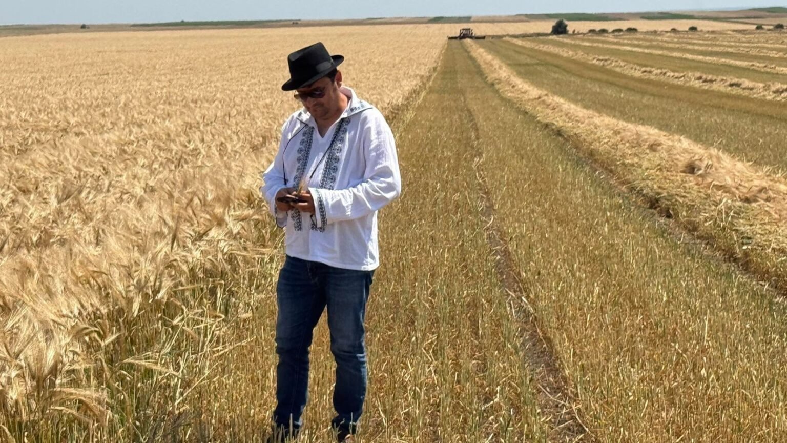 Ливиу Динкэ, промоутер регенеративного земледелия, стоит среди пшеничного поля в традиционной румынской рубашке