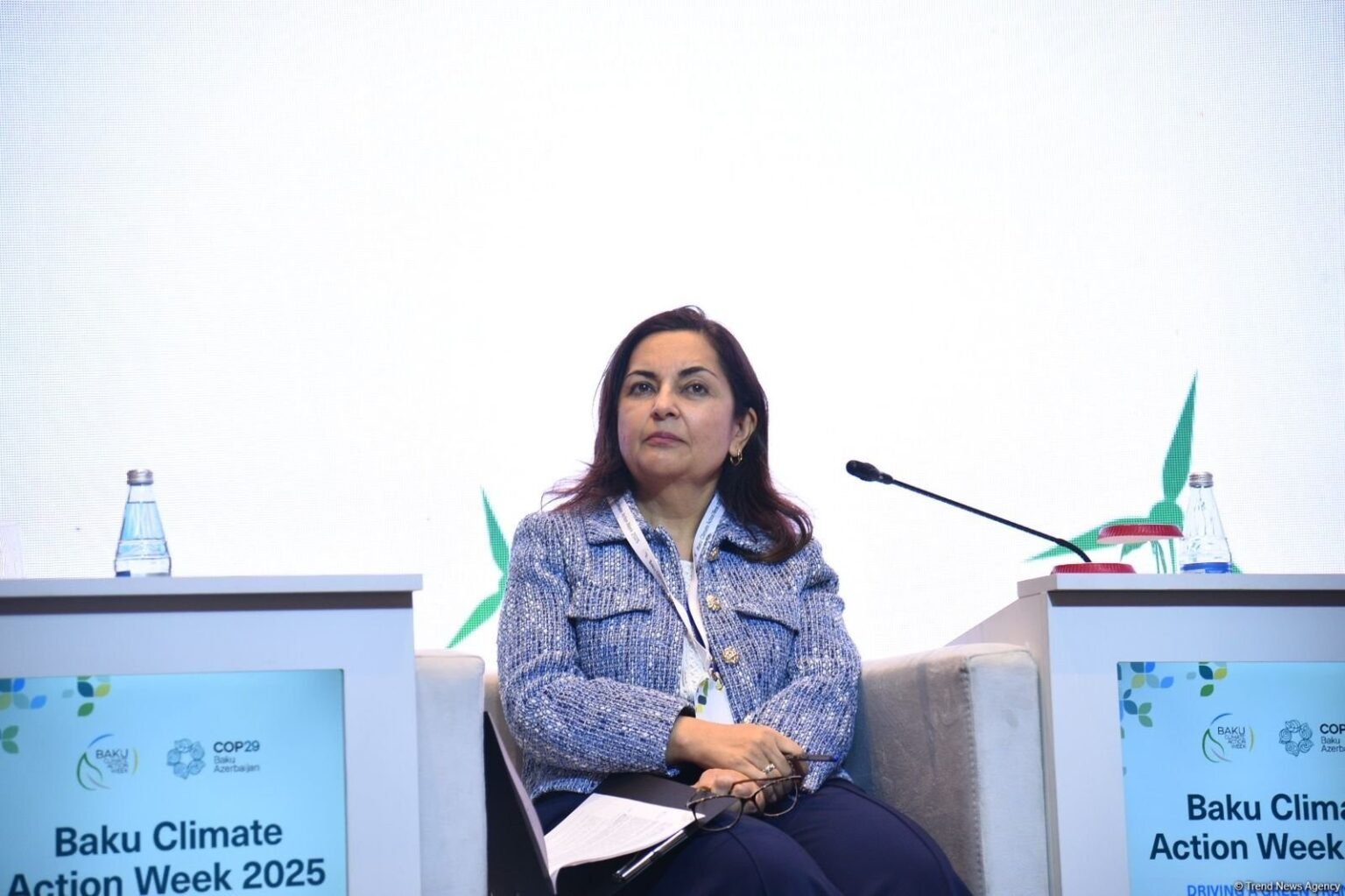 АБР нацелился на зелёную энергетику Азербайджана Представительница Азиатского банка развития на панельной сессии Бакинской недели климатических действий 2025