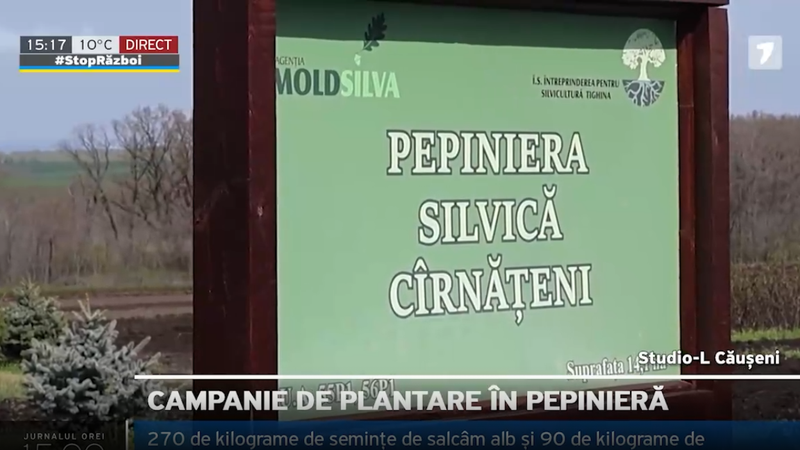 Информационный щит лесного питомника «Pepiniera Silvică Cârnățeni» с логотипом агентства Moldsilva на фоне обработанных полей в Каушанском районе — кадр телевизионного репортажа о ходе весенней посадочной кампании