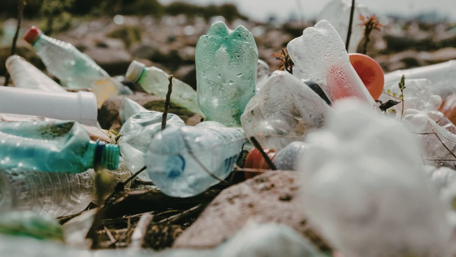 Пластиковые бутылки и мусор на стихийной свалке — проблема, которую Молдова намерена решить с помощью новой региональной инфраструктуры переработки отходов