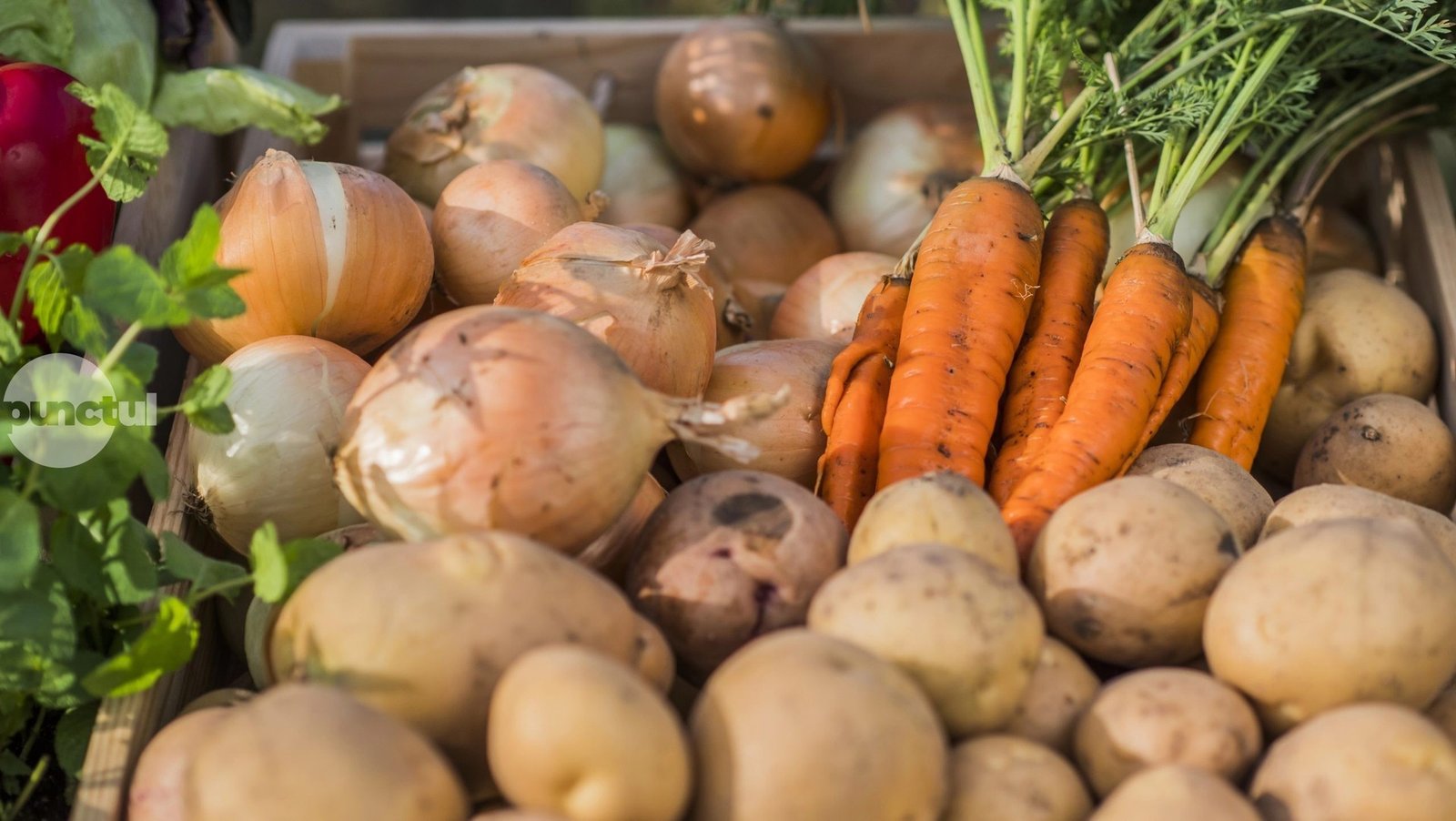 Свежие овощи — лук, морковь и картофель — на фермерском рынке