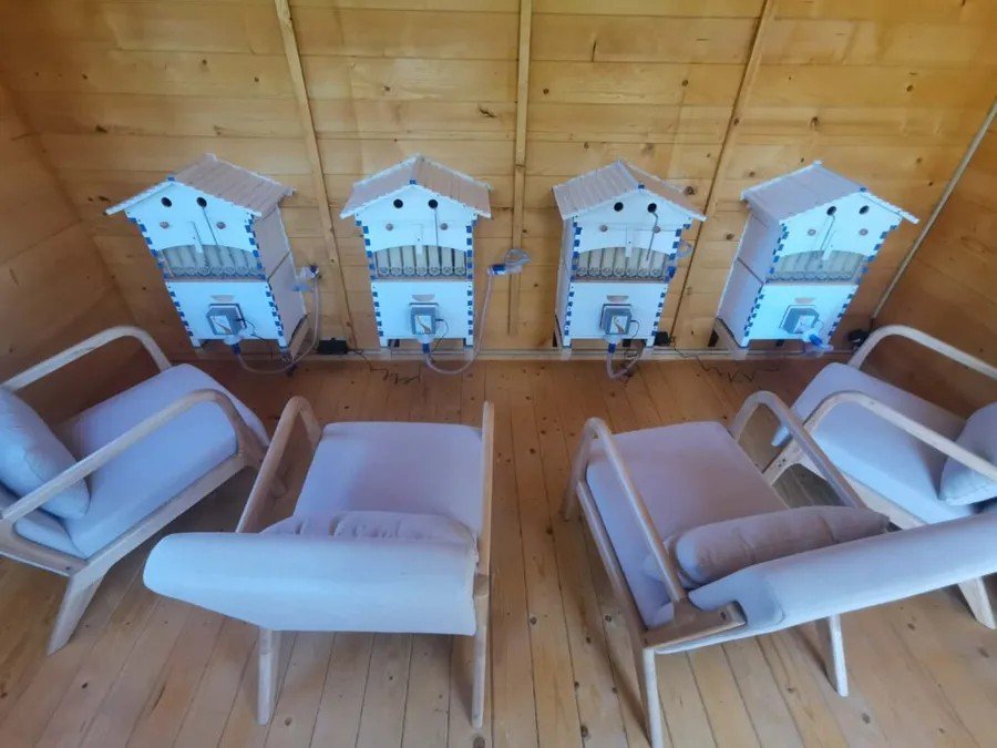 Интерьер «дома пчёл» в Тимишоаре: четыре апитерапевтических улья и лежаки у стены