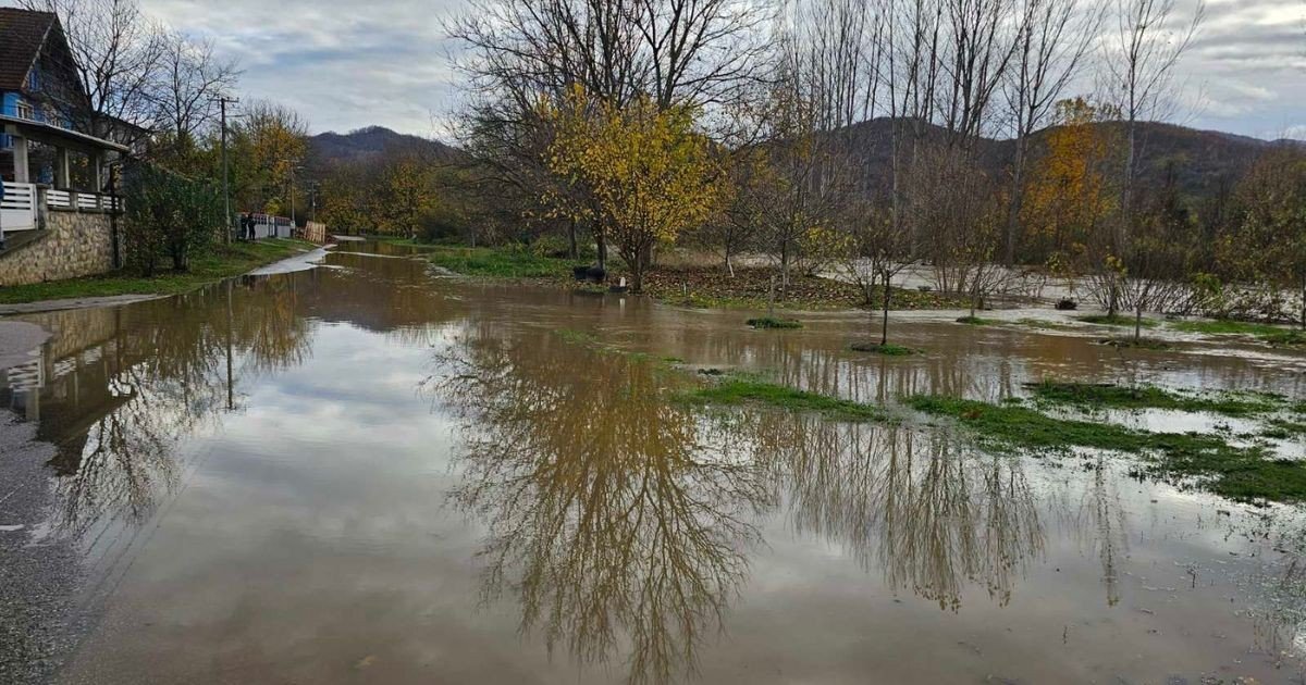 Затопленное село, деревья отражаются в стоячей воде, горы на заднем плане