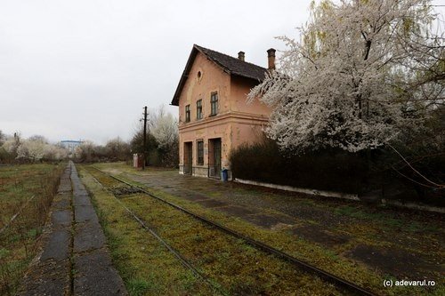 Заброшенное здание станции с цветущим деревом и заросшими рельсами