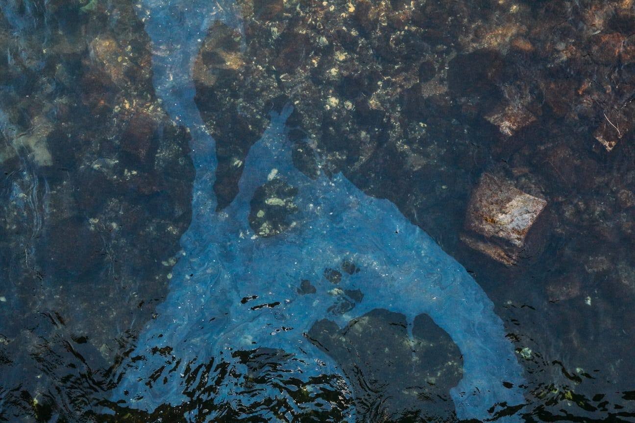 Крупный план нефтяного загрязнения в воде Днестра