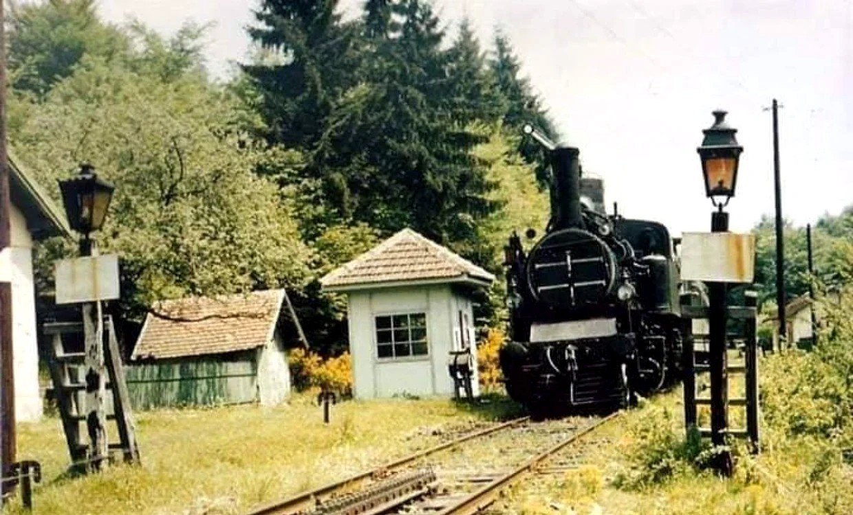 Паровоз на горной станции зубчатой железной дороги