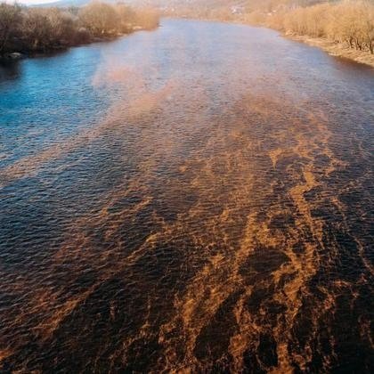 Река с коричневатым осадком на поверхности воды — последствия хозяйственной деятельности вблизи водоёмов Молдовы