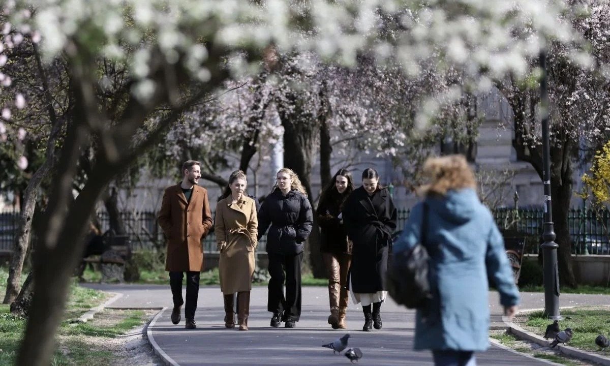Прохожие гуляют в парке среди цветущих весенних деревьев — тёплая погода перед резким похолоданием