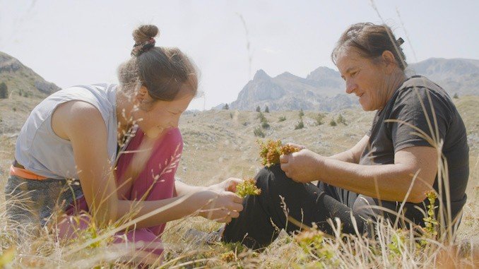 Кадр из фильма «Planina»: героини в горном пейзаже Черногории
